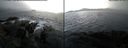 ./images/rivers-inlet/ethel/20161227/ethel20161227_092001.jpg