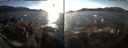 ./images/rivers-inlet/ethel/20170103/ethel20170103_145500.jpg