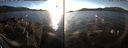 ./images/rivers-inlet/ethel/20170104/ethel20170104_151500.jpg