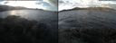 ./images/rivers-inlet/ethel/20170107/ethel20170107_105958.jpg