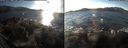 ./images/rivers-inlet/ethel/20170110/ethel20170110_142000.jpg