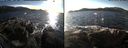 ./images/rivers-inlet/ethel/20170130/ethel20170130_145531.jpg