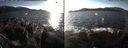 ./images/rivers-inlet/ethel/20170130/ethel20170130_151031.jpg