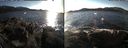 ./images/rivers-inlet/ethel/20170131/ethel20170131_145000.jpg