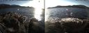 ./images/rivers-inlet/ethel/20170131/ethel20170131_151000.jpg