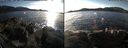 ./images/rivers-inlet/ethel/20170201/ethel20170201_144500.jpg