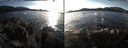 ./images/rivers-inlet/ethel/20170201/ethel20170201_145500.jpg