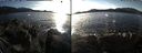 ./images/rivers-inlet/ethel/20170201/ethel20170201_150500.jpg