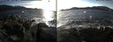 ./images/rivers-inlet/ethel/20170202/ethel20170202_150500.jpg