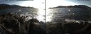 ./images/rivers-inlet/ethel/20170202/ethel20170202_153501.jpg