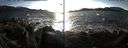 ./images/rivers-inlet/ethel/20170202/ethel20170202_154001.jpg