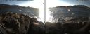 ./images/rivers-inlet/ethel/20170205/ethel20170205_154501.jpg