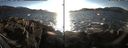 ./images/rivers-inlet/ethel/20170205/ethel20170205_155001.jpg