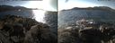 ./images/rivers-inlet/ethel/20170206/ethel20170206_140001.jpg