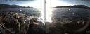 ./images/rivers-inlet/ethel/20170213/ethel20170213_155535.jpg