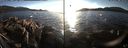 ./images/rivers-inlet/ethel/20170213/ethel20170213_163035.jpg