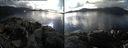 ./images/rivers-inlet/ethel/20170217/ethel20170217_144107.jpg
