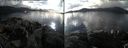 ./images/rivers-inlet/ethel/20170217/ethel20170217_145107.jpg