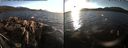 ./images/rivers-inlet/ethel/20170218/ethel20170218_165500.jpg