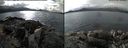 ./images/rivers-inlet/ethel/20170303/ethel20170303_122500.jpg