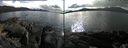 ./images/rivers-inlet/ethel/20170414/ethel20170414_165535.jpg
