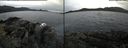 ./images/rivers-inlet/ethel/20170422/ethel20170422_112500.jpg