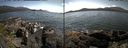 ./images/rivers-inlet/ethel/20170627/ethel20170627_154959.jpg