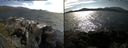 ./images/rivers-inlet/ethel/20170630/ethel20170630_171959.jpg