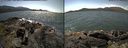 ./images/rivers-inlet/ethel/20170706/ethel20170706_135458.jpg