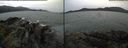 ./images/rivers-inlet/ethel/20170708/ethel20170708_151958.jpg