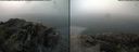 ./images/rivers-inlet/ethel/20170805/ethel20170805_101957.jpg