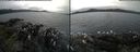 ./images/rivers-inlet/ethel/20170806/ethel20170806_143957.jpg