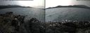 ./images/rivers-inlet/ethel/20170808/ethel20170808_145457.jpg