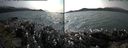 ./images/rivers-inlet/ethel/20170809/ethel20170809_150957.jpg