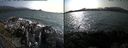 ./images/rivers-inlet/ethel/20170809/ethel20170809_165957.jpg