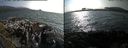 ./images/rivers-inlet/ethel/20170809/ethel20170809_171957.jpg