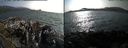 ./images/rivers-inlet/ethel/20170809/ethel20170809_172957.jpg