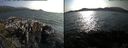 ./images/rivers-inlet/ethel/20170809/ethel20170809_175457.jpg