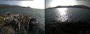 ./images/rivers-inlet/ethel/20170809/ethel20170809_180457.jpg