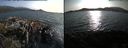 ./images/rivers-inlet/ethel/20170809/ethel20170809_184957.jpg