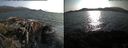 ./images/rivers-inlet/ethel/20170810/ethel20170810_184457.jpg