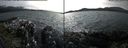 ./images/rivers-inlet/ethel/20170811/ethel20170811_155957.jpg