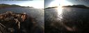 ./images/rivers-inlet/ethel/20171001/ethel20171001_182455.jpg
