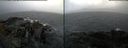 ./images/rivers-inlet/ethel/20171006/ethel20171006_104955.jpg