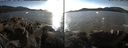./images/rivers-inlet/ethel/20171026/ethel20171026_154455.jpg