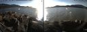 ./images/rivers-inlet/ethel/20171026/ethel20171026_160455.jpg