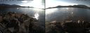 ./images/rivers-inlet/ethel/20171030/ethel20171030_151955.jpg