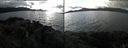 ./images/rivers-inlet/ethel/20171101/ethel20171101_145455.jpg