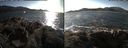./images/rivers-inlet/ethel/20171102/ethel20171102_150955.jpg