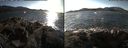 ./images/rivers-inlet/ethel/20171102/ethel20171102_151455.jpg